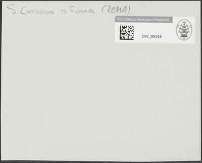 Abbildung des Ordner-Etiketts