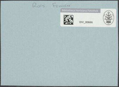 Abbildung des Ordner-Etiketts