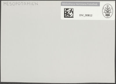 Abbildung des Ordner-Etiketts