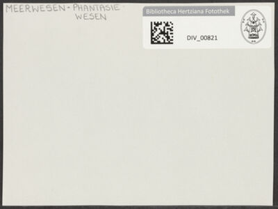 Abbildung des Ordner-Etiketts