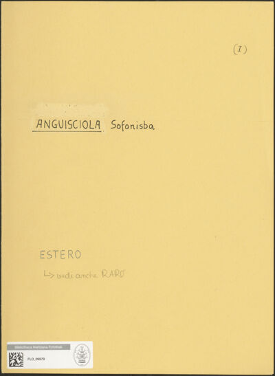 Abbildung des Ordner-Etiketts