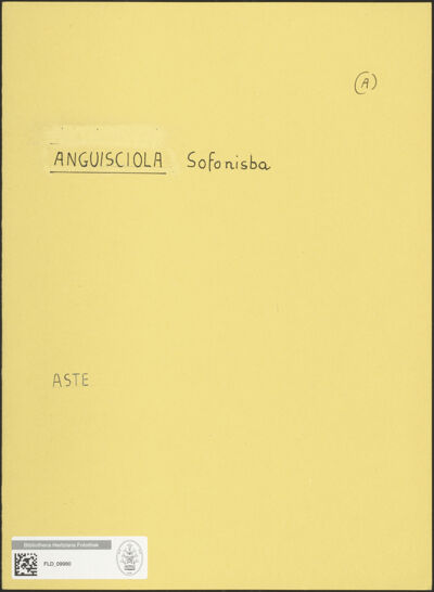 Abbildung des Ordner-Etiketts