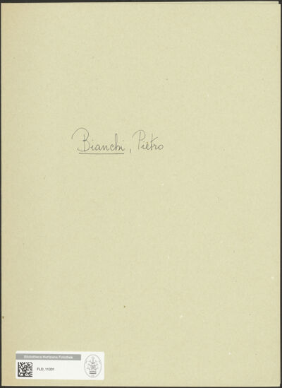 Abbildung des Ordner-Etiketts