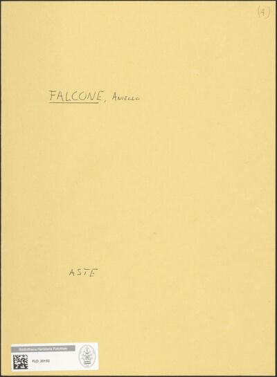 Abbildung des Ordner-Etiketts