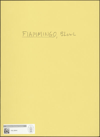 Abbildung des Ordner-Etiketts