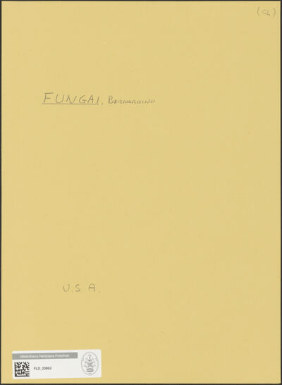 Abbildung des Ordner-Etiketts