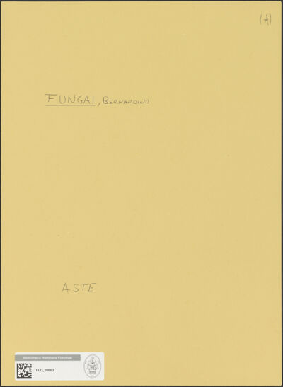 Abbildung des Ordner-Etiketts