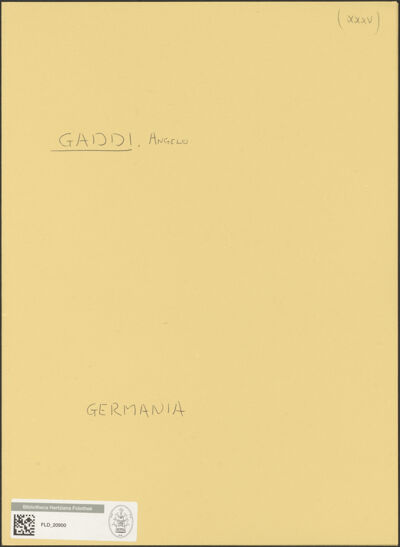 Abbildung des Ordner-Etiketts