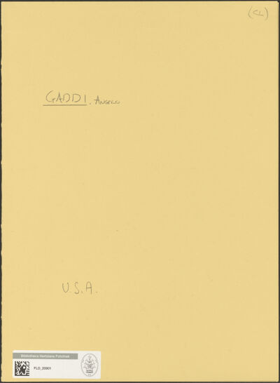 Abbildung des Ordner-Etiketts