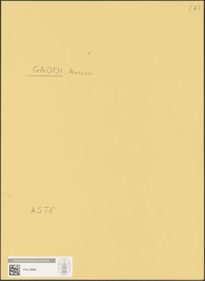 Abbildung des Ordner-Etiketts