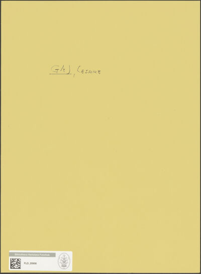 Abbildung des Ordner-Etiketts