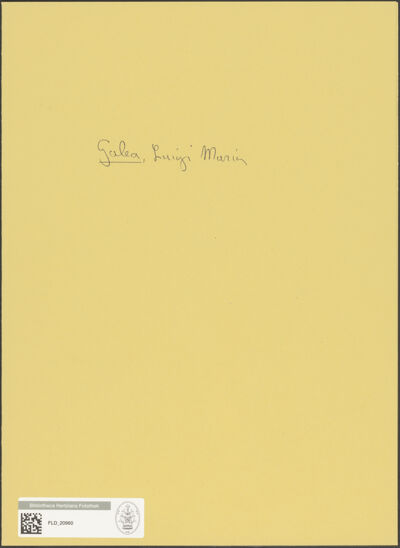 Abbildung des Ordner-Etiketts