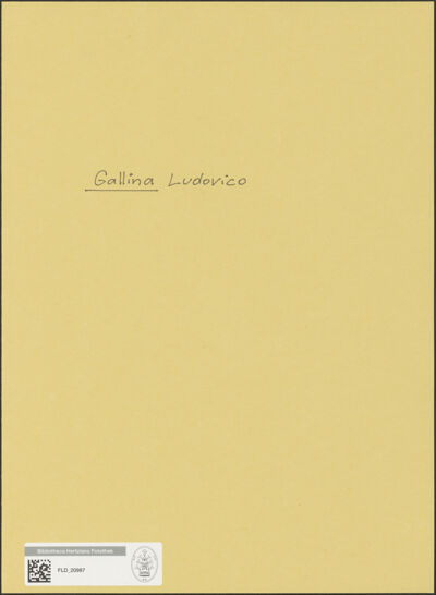 Abbildung des Ordner-Etiketts