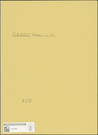 Abbildung des Ordner-Etiketts