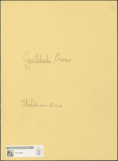 Abbildung des Ordner-Etiketts