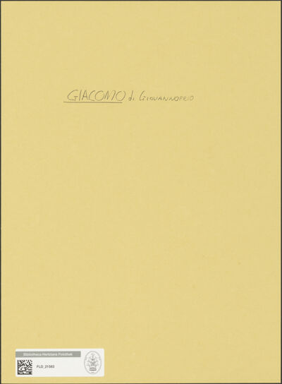 Abbildung des Ordner-Etiketts