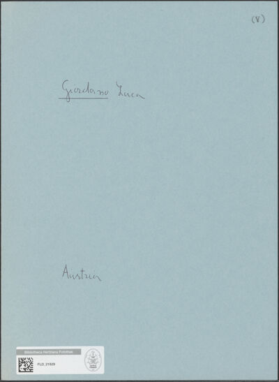 Abbildung des Ordner-Etiketts