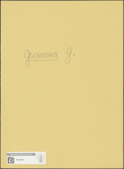 Abbildung des Ordner-Etiketts