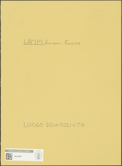 Abbildung des Ordner-Etiketts