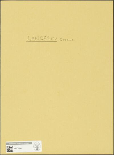 Abbildung des Ordner-Etiketts