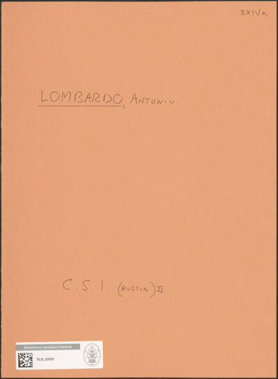 Abbildung des Ordner-Etiketts