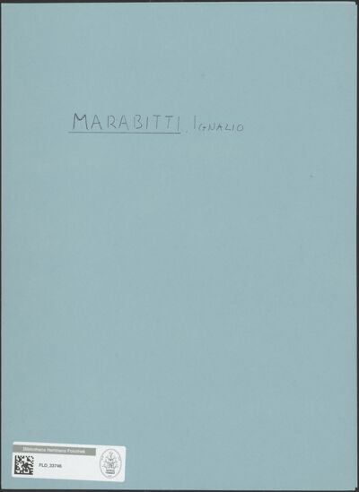 Abbildung des Ordner-Etiketts