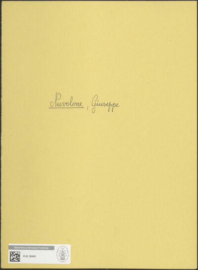 Abbildung des Ordner-Etiketts