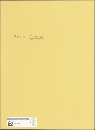 Abbildung des Ordner-Etiketts