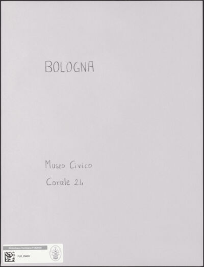 Abbildung des Ordner-Etiketts