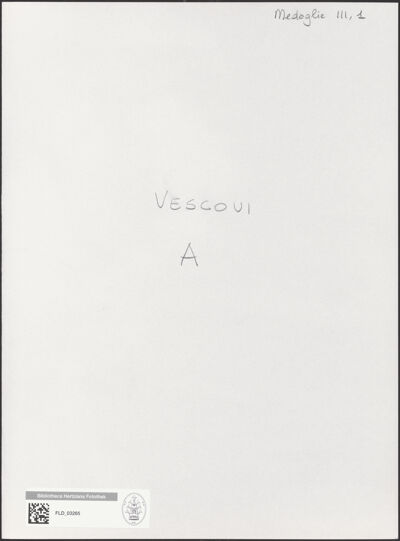 Abbildung des Ordner-Etiketts