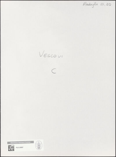 Abbildung des Ordner-Etiketts