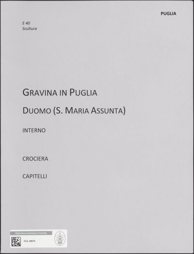 Abbildung des Ordner-Etiketts